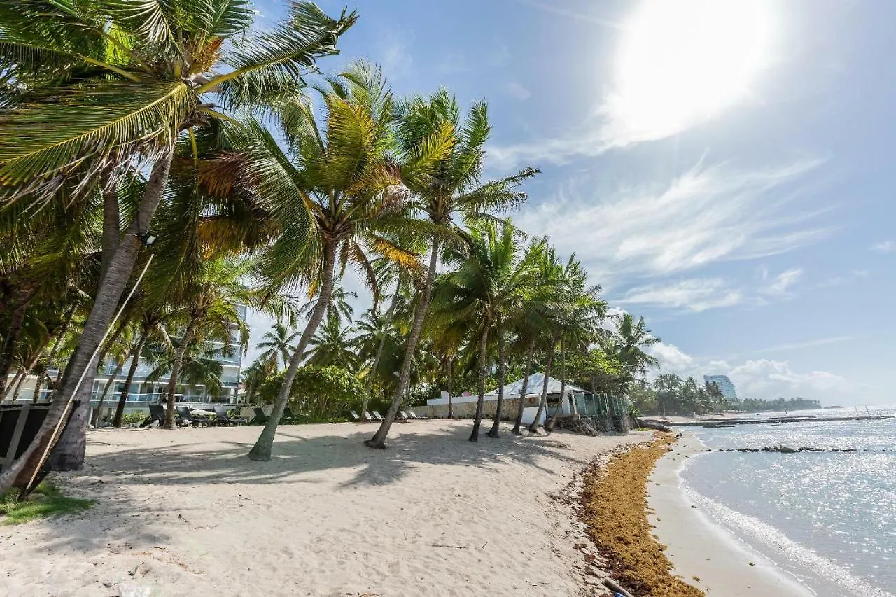 Apartment Beachfront King Bed Privacyjacuzzifullkitchen Juan Dolio